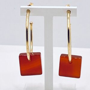 Art.BROCP5 Carnelian Bronze Earrings