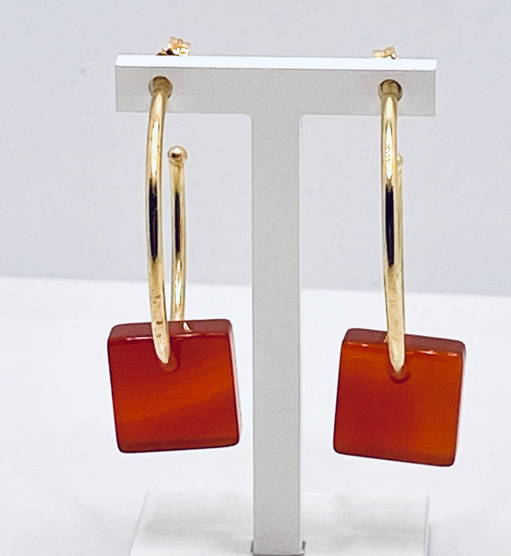 Art.BROCP5 Carnelian Bronze Earrings