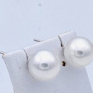 Orecchini perle AKOIA oro bianco 750% art.ORPGIA