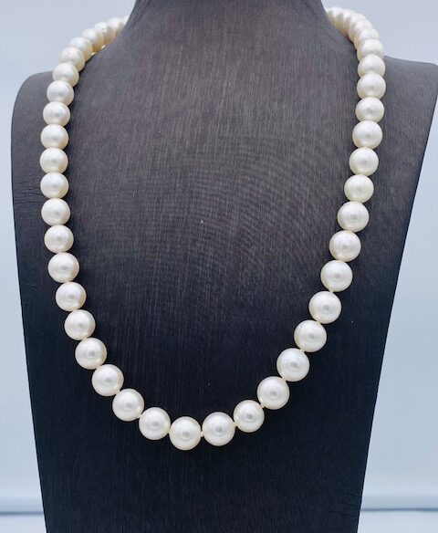 Akoya susta white gold pearl thread crew neck Art.CP1
