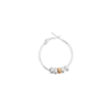orecchino-particelle