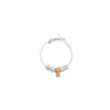 orecchino-particelle
