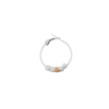 vorecchino-particelle