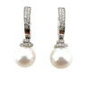 Orecchini perla AUSTRALIANE oro bianco 750% Art. ORP261