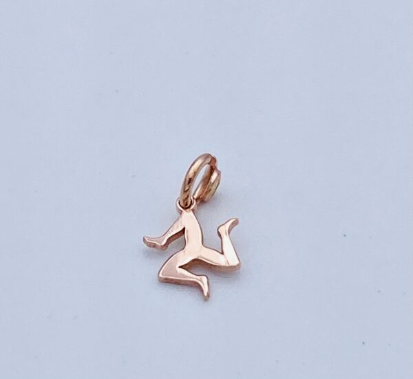 Ciondolo Trinacria argento 925% Art.604789