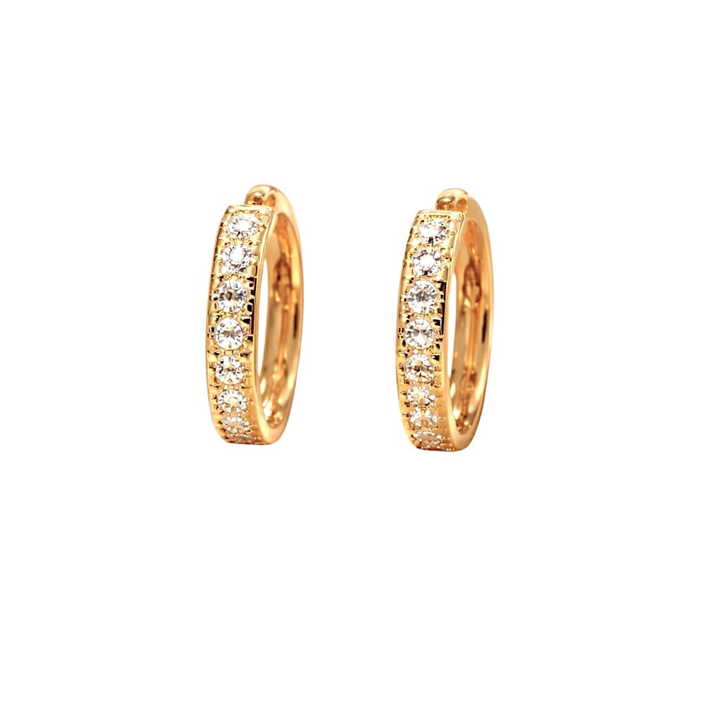 Orecchini  cerchio  in oro 18 kt Art. ORCE38